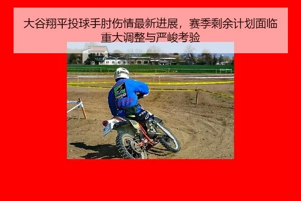 大谷翔平投球手肘伤情最新进展，赛季剩余计划面临重大调整与严峻考验