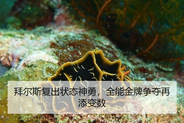拜尔斯复出状态神勇，全能金牌争夺再添变数