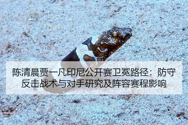 chen-qing-chen-jia-yi-fan-yin-ni-gong-kai-sai-wei-mian-lu-jing-fang-shou-fan-ji-zhan-shu-yu-dui-shou-yan-jiu-ji-zhen-3-869.jpg