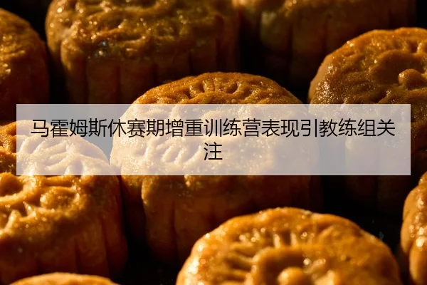马霍姆斯休赛期增重训练营表现引教练组关注