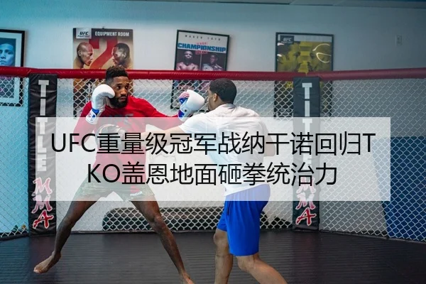 UFC重量级冠军战纳干诺回归TKO盖恩地面砸拳统治力