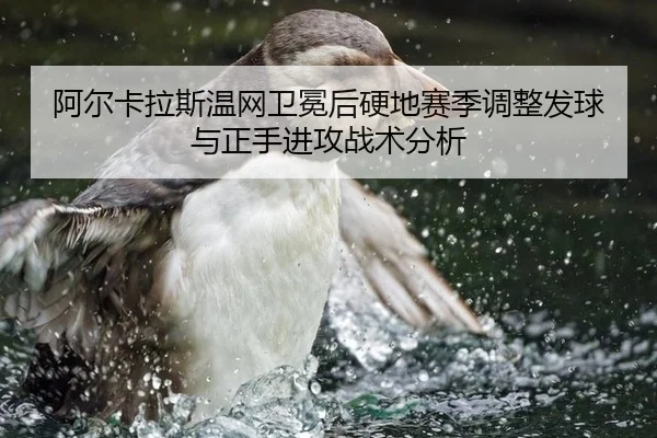 a-er-ka-la-si-wen-wang-wei-mian-hou-ying-di-sai-ji-tiao-zheng-fa-qiu-yu-zheng-shou-jin-gong-zhan-shu-fen-xi-2-817.jpg